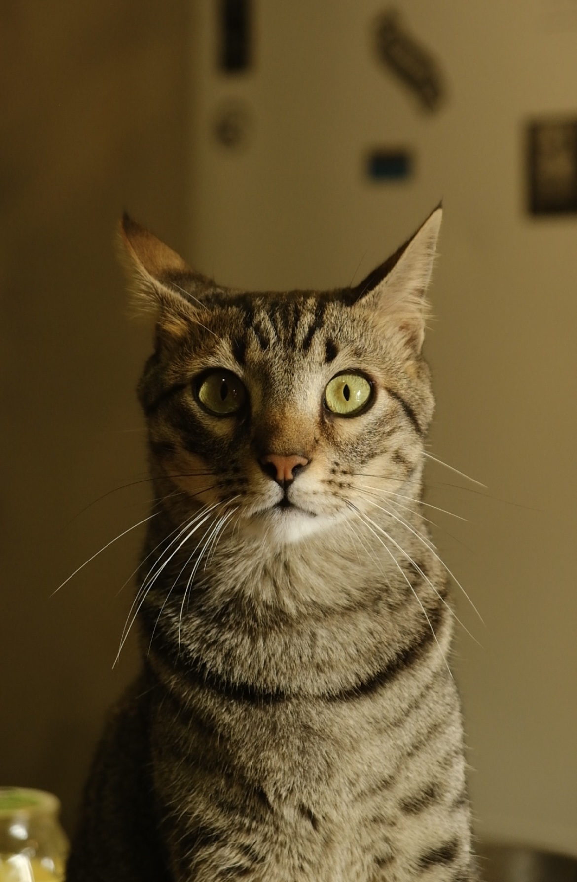 Nico