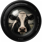 VegFrames