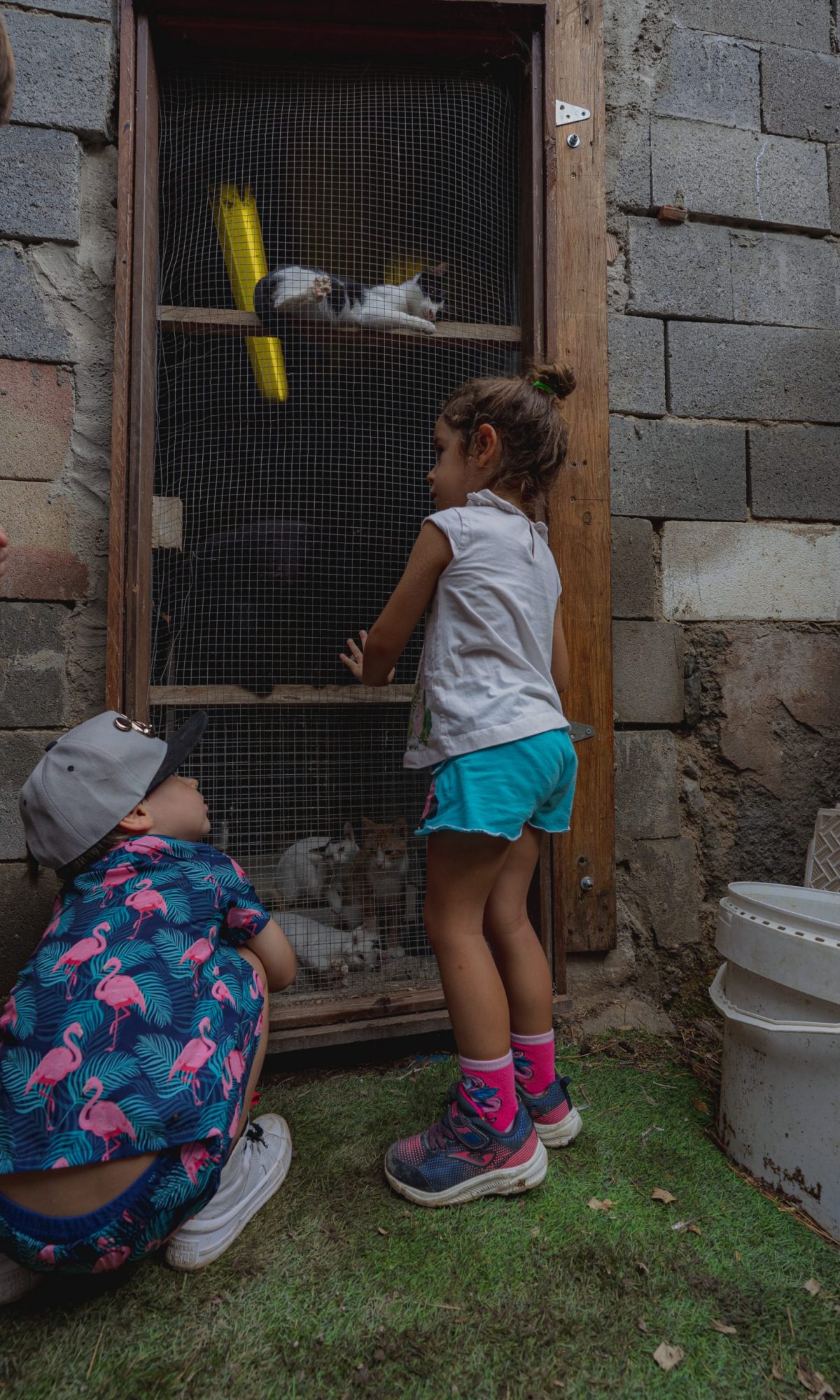BV_VISITA_14_09-178