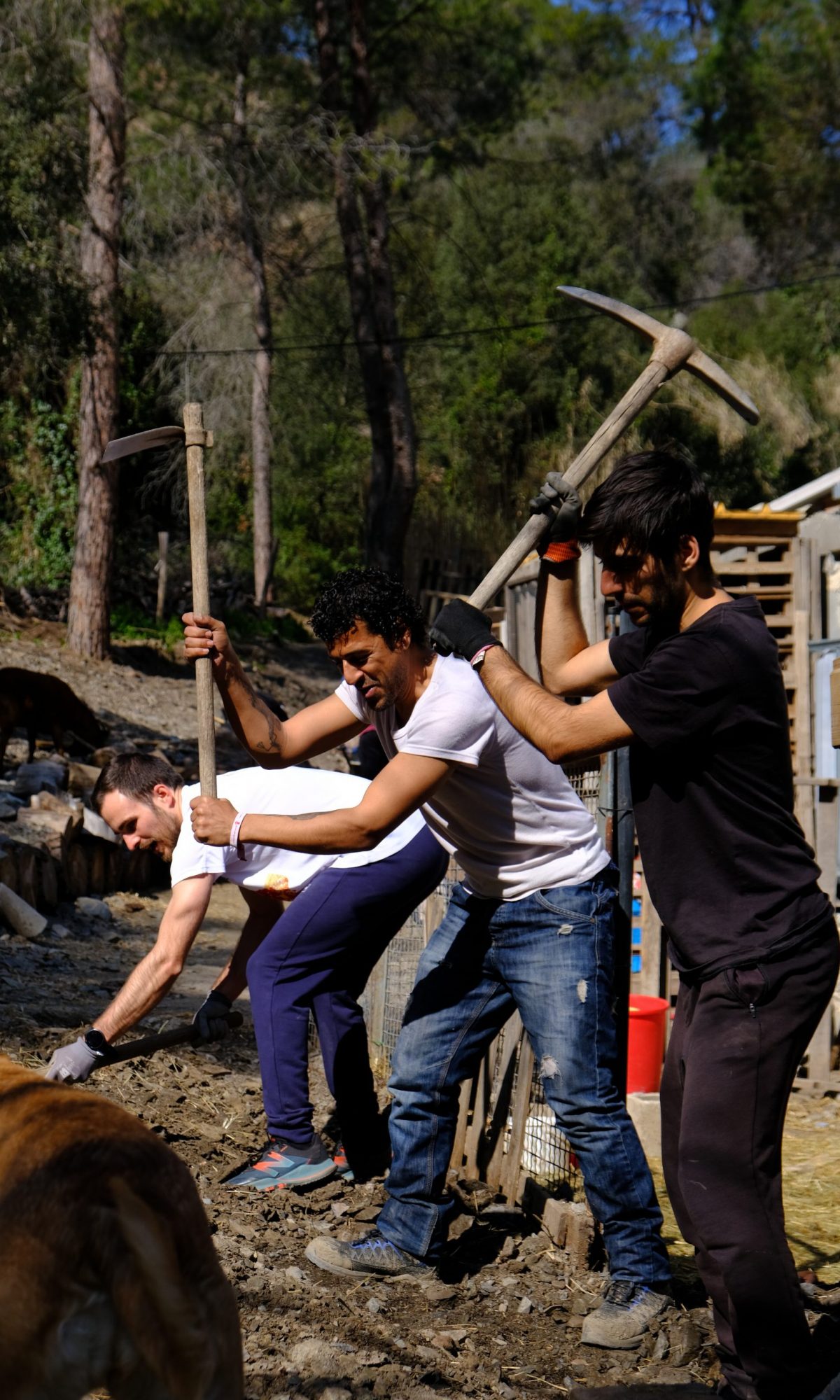 Voluntariado y comida (20)